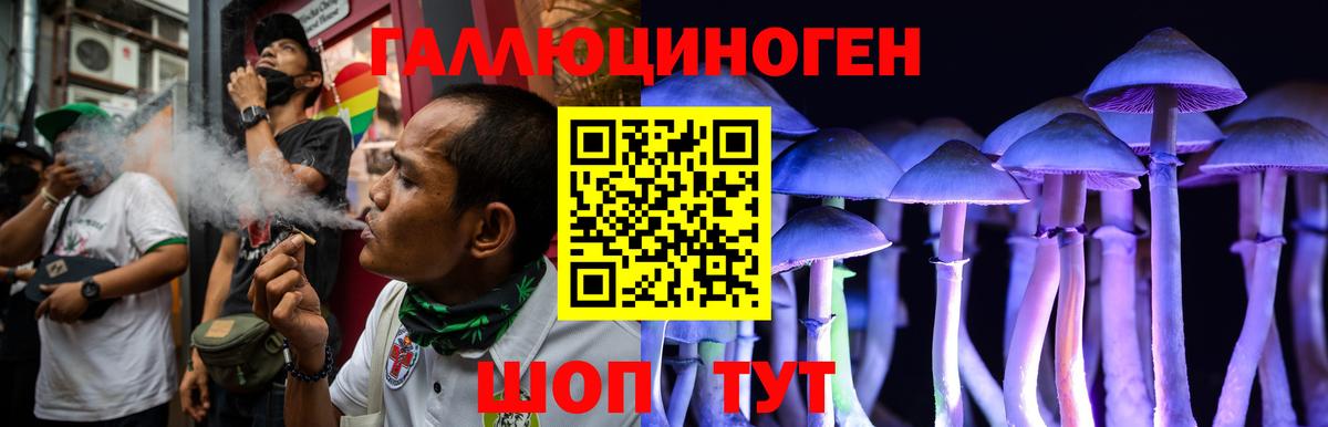 Галлюциногенные грибы мухоморы Шумерля